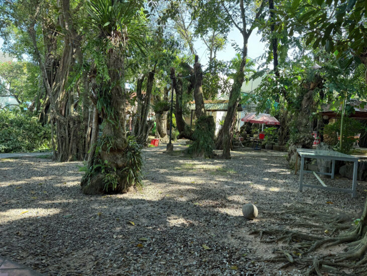 Siêu Hot! Đất Mặt Tiền Ng Chí Thanh, PQ – Thích Hợp Kinh Doanh