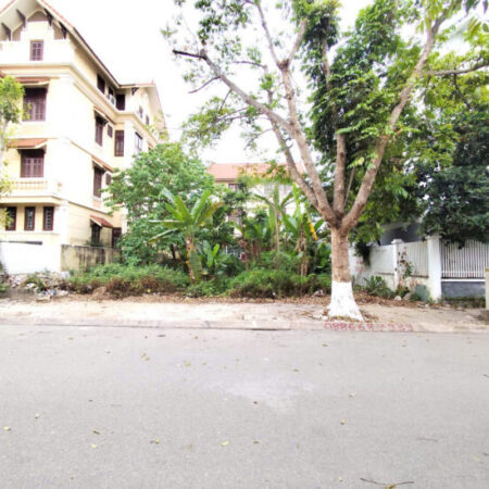 Đất phân lô biệt thự Sao Đỏ – 300m – Giá 40tr/m – gần ngay Cầu Rào