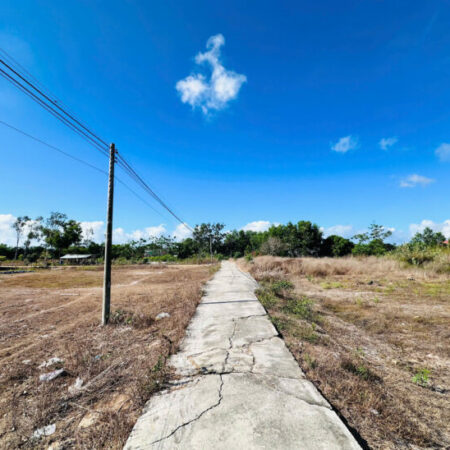 Siêu hot! 37m x 38m đất ONT Tân Phước – TX LaGi chỉ 145tr/m ngang gần Biển Siêu hot! 37m x 38m đất ONT Tân Phước – TX LaGi chỉ 145tr/m ngang gần Biển