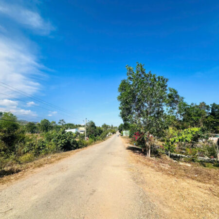 Bán 19m x 47m đất thổ cư Tân Hà, thị xã LaGi giá ngộp 1.4 tỷ