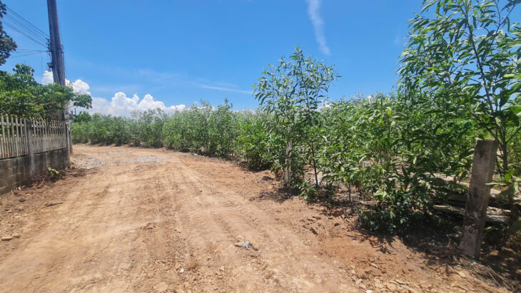 Bán 2000m2 đất thổ cư Hẻm Lý Thường Kiệt, Thị xã LaGi giá đầu tư