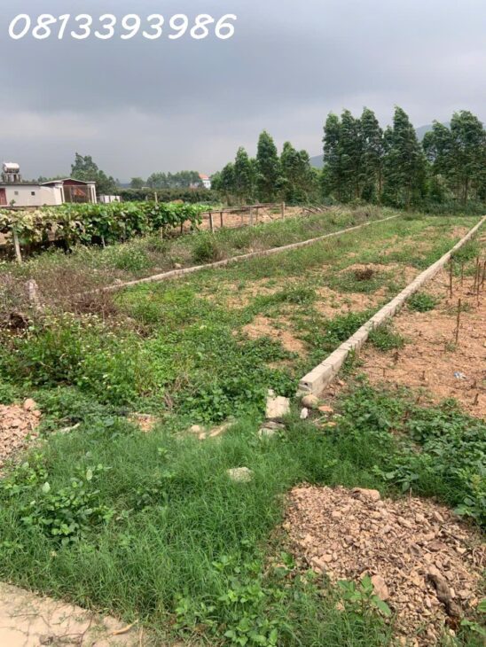 Bán đất thổ cư 174m² Huyền Sơn – Lục Nam – Bắc Giang, 500 triệu, sổ đỏ