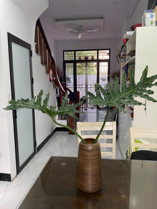 Bán nhà 35m², 4PN, 4WC, ngõ Hữu Lê, Hữu Hòa, Thanh Trì – 5.1 tỷ 0702121992