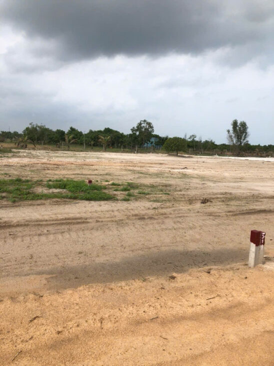 Bán 1001m2 đất thổ cư rừng vàng Tân Bình, thị xã LaGi giá ngộp 1.3 tỷ gần biển