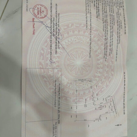 Hàng hiếm Mỹ Phước – Hơn 5800m² có thổ cư, giá cực đẹp!