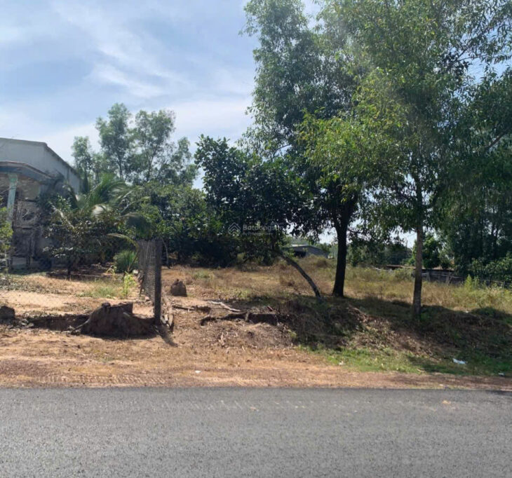 Hàng hiếm Mỹ Phước – Hơn 5800m² có thổ cư, giá cực đẹp!