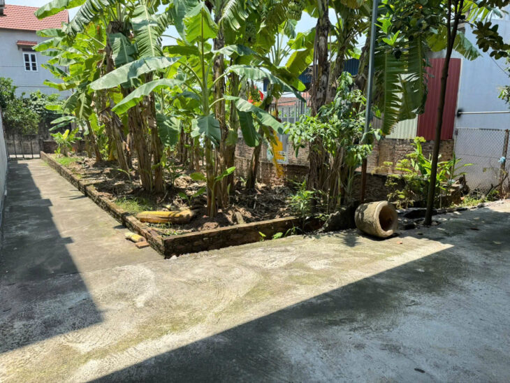 Bán đất Tiến Thịnh, Mê Linh. Lô góc, 3 mặt thoáng. Gần bến phà Chu Phan
