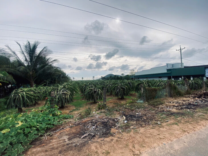 Bán 1600m2 đất ONT Đường Đinh Công Tráng – TX LaGi chỉ 150tr/m ngang