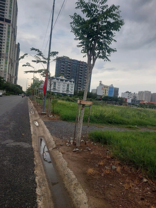 SIÊU PHẨM HIẾM BÁN DÀNH CHO GIỚI SIÊU GIÀU SỞ HỮU BIỆT THỰ ĐẲNG CẤP XUÂN THỦY – Thảo Điền – Quận 2