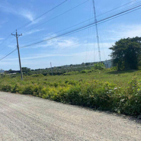 Bán 64m x 51m Đất thổ cư Tân Tiến – TX LaGi giá ngộp chỉ 33 triệu/m ngang