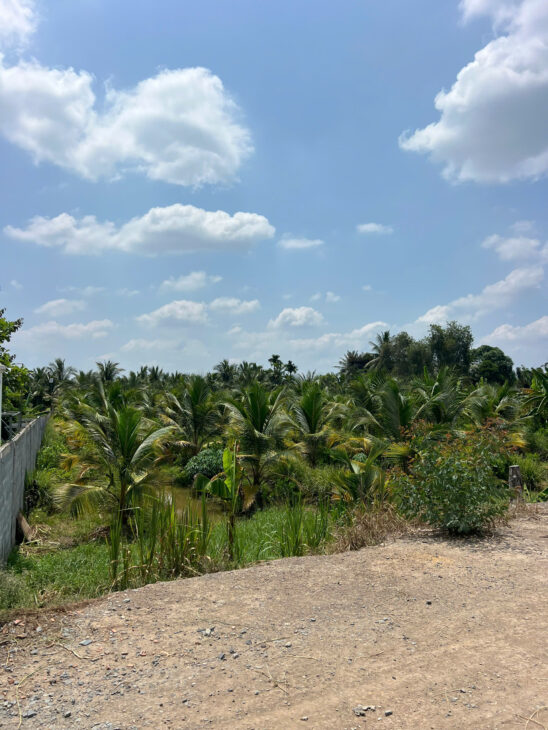 Bán 2 Công Tam Hiệp Gần Mỹ Tho 23x78m có nhà Thổ cư View Sông Giá 4.2 tỷ