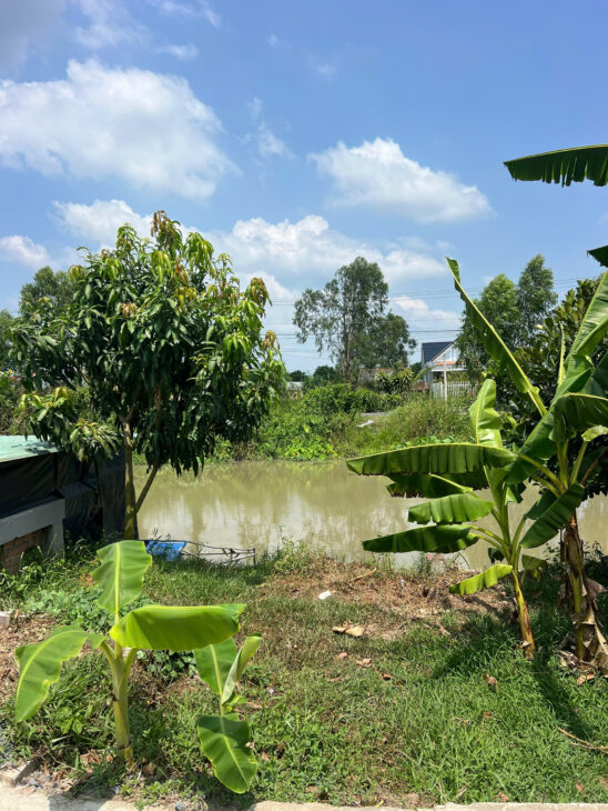 Bán 2 Công Tam Hiệp Gần Mỹ Tho 23x78m có nhà Thổ cư View Sông Giá 4.2 tỷ