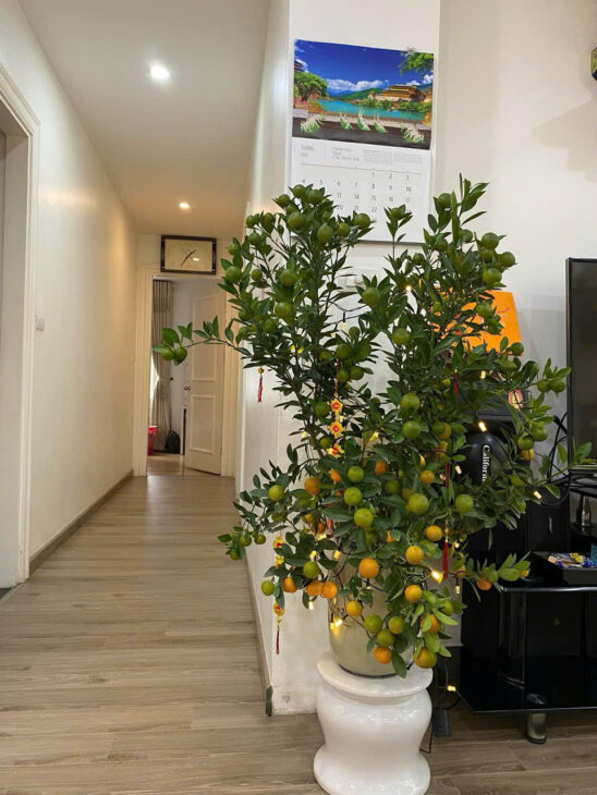 Căn Hộ Chung Cư Cao Cấp Residence Nguyễn Huy Tưởng