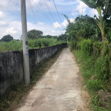 Bán 5m x 43m hẻm Nguyễn Chí Thanh – Tân Bình – TX LaGi 950 triệu Bán 5m x 43m hẻm Nguyễn Chí Thanh – Tân Bình – TX LaGi 950 triệu