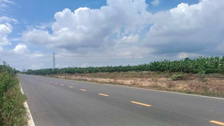 Vị trí vàng! Đất ngay Long Tân, Đất Đỏ, Bà Rịa-Vũng Tàu chỉ với 320 triệu