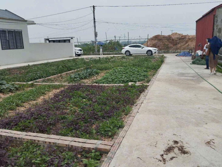 CẦN BÁN LÔ ĐẤT TẠI QUẾ SƠN – TÂN ƯỚC – THANH OAI