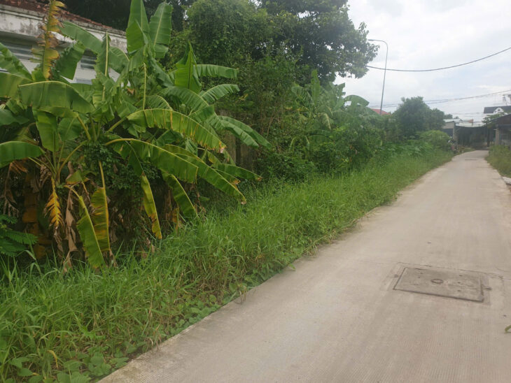 Bán Đất Bình Chánh 8x18m Full thổ, Hoàng Phan Thái vô 50m Ngay chợ Bình Chánh Giá 35tr/m