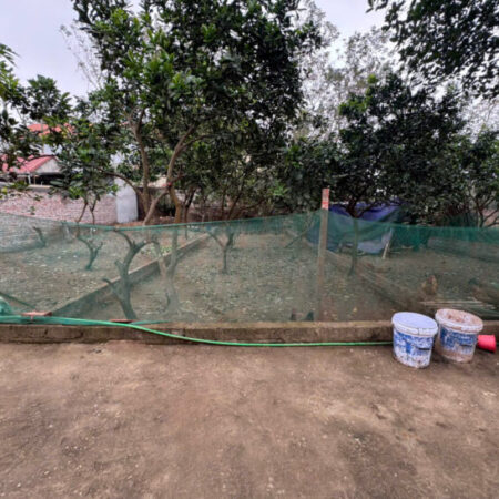 Bán 35m đất tổ 9, Quang Minh, Mê Linh. Gần KCN và trường cao đẳng Y Dược Tuệ Tĩnh