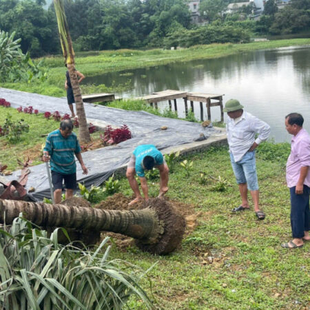 CHÍNH CHỦ CẦN BÁN GẤP LÔ ĐẤT SIÊU ĐẸP TẠI TRUNG TÂM THỊ TRẤN HUYỆN LẠC THỦY – TỈNH HÒA BÌNH