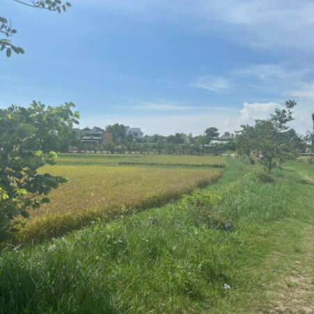 Chỉ 610 triệu/ sào Đất Tân Bình, thị xã LaGi cách Biển 2Km