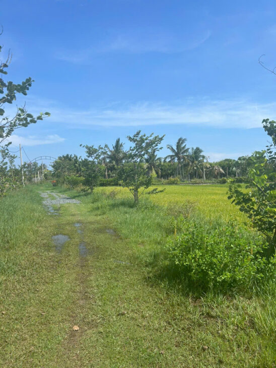 Chỉ 610 triệu/ sào Đất Tân Bình, thị xã LaGi cách Biển 2Km