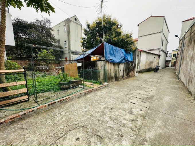 Bán đất Cổ Dương, Tiên Dương, Đông Anh. Gần đường quốc lộ 23, trường ARCHIMEDES