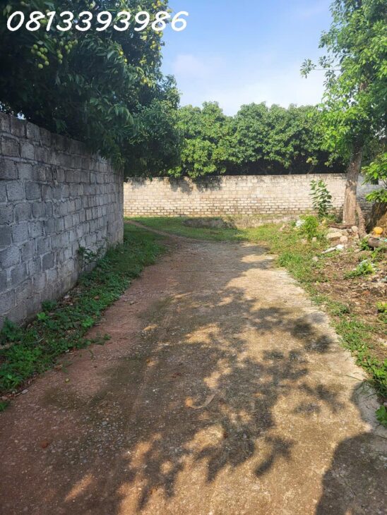 ???? Săn đất đón đầu khu công nghiệp – Giá cực mềm!