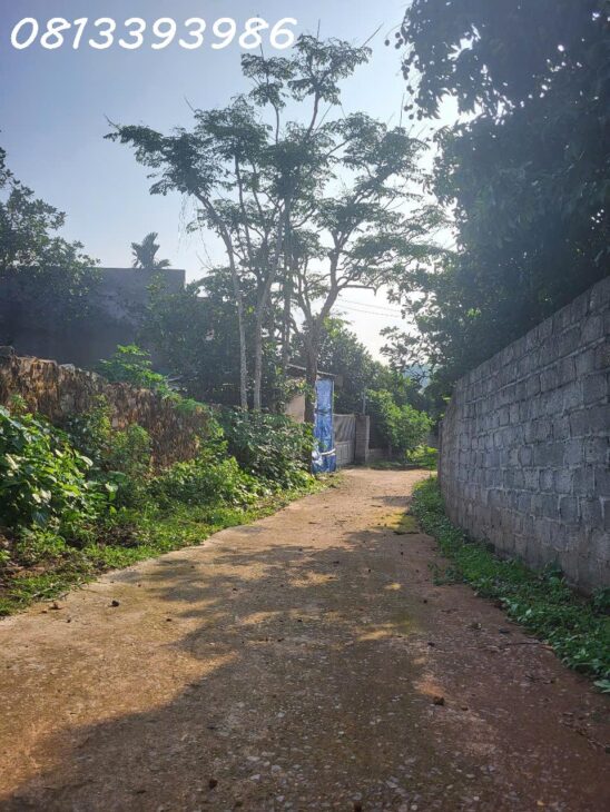 ???? Săn đất đón đầu khu công nghiệp – Giá cực mềm!