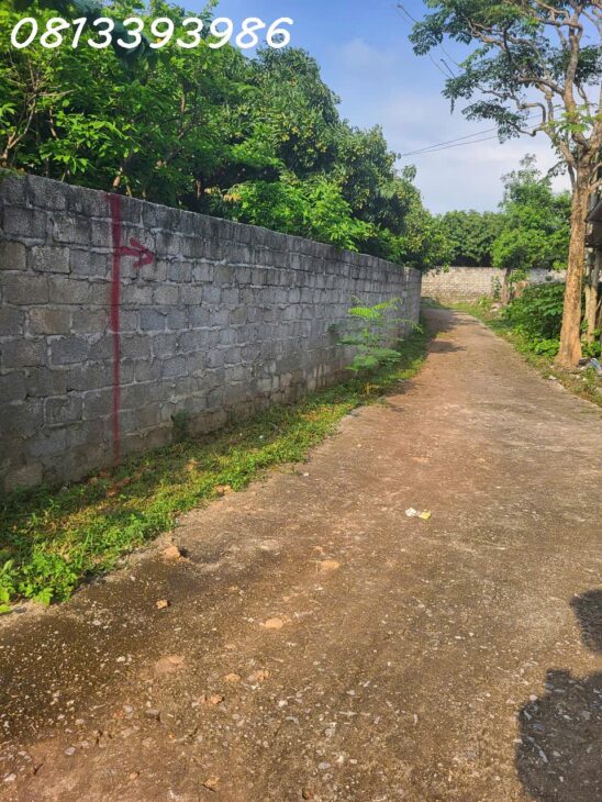 ???? Săn đất đón đầu khu công nghiệp – Giá cực mềm!