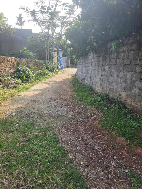 ???? Săn đất đón đầu khu công nghiệp – Giá cực mềm!