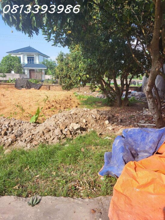 ???? Đất Đẹp Giá Tốt – Sát Chợ, Đầy Đủ Tiện Ích – Không Mua Là Tiếc!