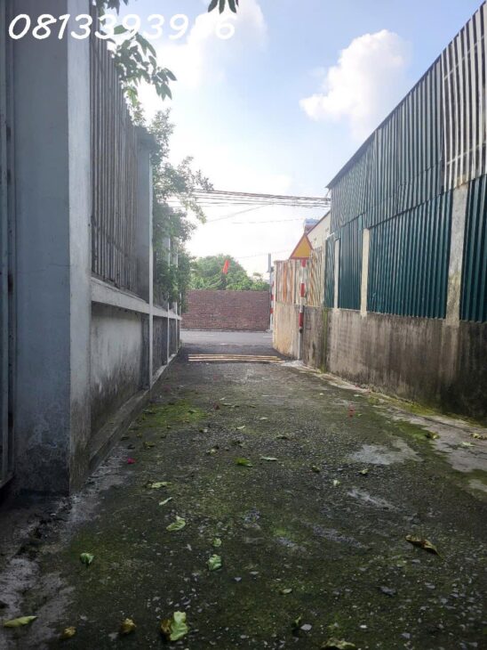 ???? Lô Đất Gần KCN – 120m², Mặt Tiền 6m – Giá Chỉ Bằng 1 Chiếc ô tô cỏ!