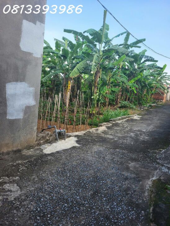 ???? Lô Đất Gần KCN – 120m², Mặt Tiền 6m – Giá Chỉ Bằng 1 Chiếc ô tô cỏ!