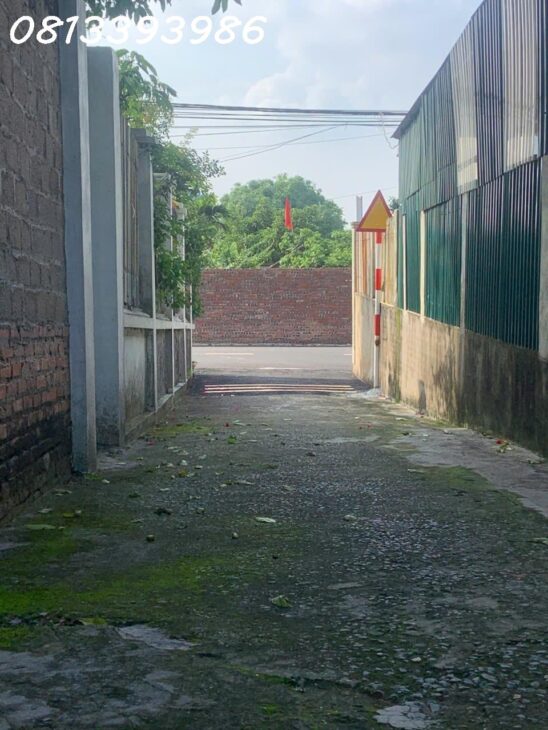 ???? Lô Đất Gần KCN – 120m², Mặt Tiền 6m – Giá Chỉ Bằng 1 Chiếc ô tô cỏ!