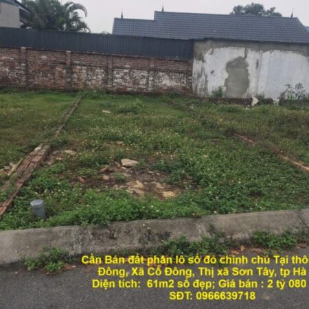 Cần Bán đất phân lô sổ đỏ chính chủ Tại thôn Triều Đông, Xã Cổ Đông, Thị xã Sơn Tây, tp Hà Nội