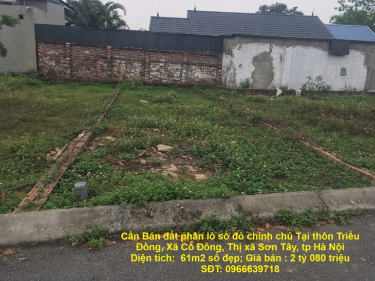 Cần Bán đất phân lô sổ đỏ chính chủ Tại thôn Triều Đông, Xã Cổ Đông, Thị xã Sơn Tây, tp Hà Nội