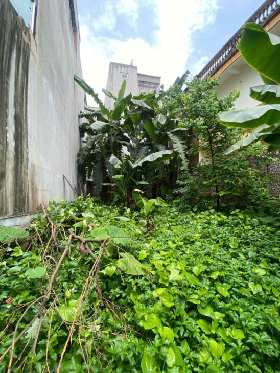 Cần bán 137m ĐẤT, Bát Khối,long Biên MT 7.5m giá 15 TỶ ,oto KD,phù hợp xây biệt thự sân vườn ,nhà