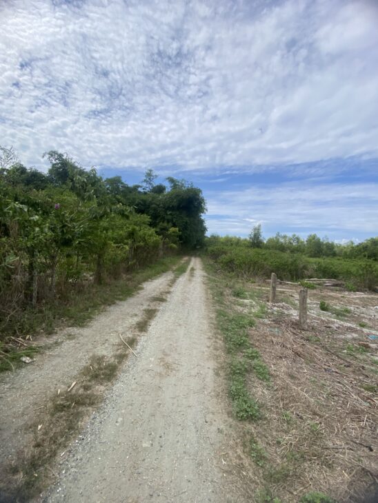 Bán 10m x 35m đất thổ cư Tân Phước, thị xã LaGi cách Biển 1Km giá ngộp 1.5 tỷ