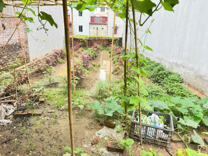 Bán Đất Thôn Do Hạ, Tiền Phong, Mê Linh – Ô Tô Vào Tận Nơi, Gần Chợ, Sổ Đỏ Cất Két