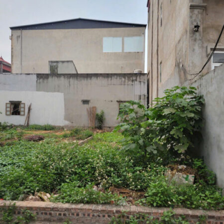 Đất đẹp Tiền Phong, Mê Linh – Hướng Nam, Ô tô đỗ cửa, Sổ đỏ sẵn sàng