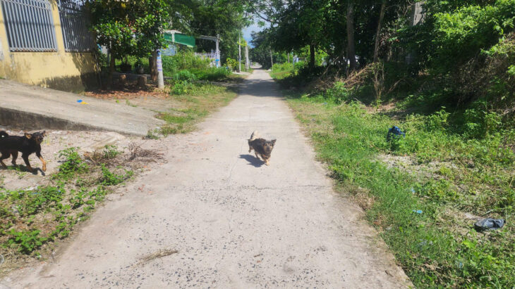 Bán 197m2 đất thổ cư Tân An, thị xã LaGi giá siêu rẻ 850 triệu sổ riêng