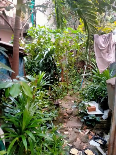 TRUNG TÂM TÂN BÌNH – LẠC LONG QUÂN – 2MT HẺM LỚN– 188M2.