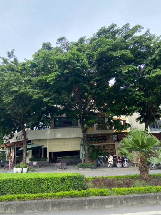 Siêu phẩm biệt thự Sudico Mỹ Đình Đẳng cấp giới thượng lưu 200m² Mặt tiền 9m Giá 50 tỷ