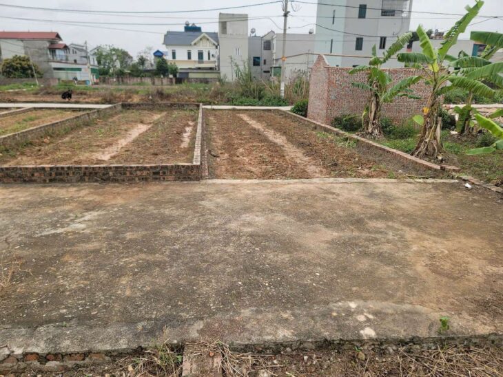 58M BÌA LÀNG VỊ TRÍ ĐẸP NHẤT TỔ 10 QUANG MINH,GIÁ F0 ĐẦU TƯ,IB CHÍNH CHỦ