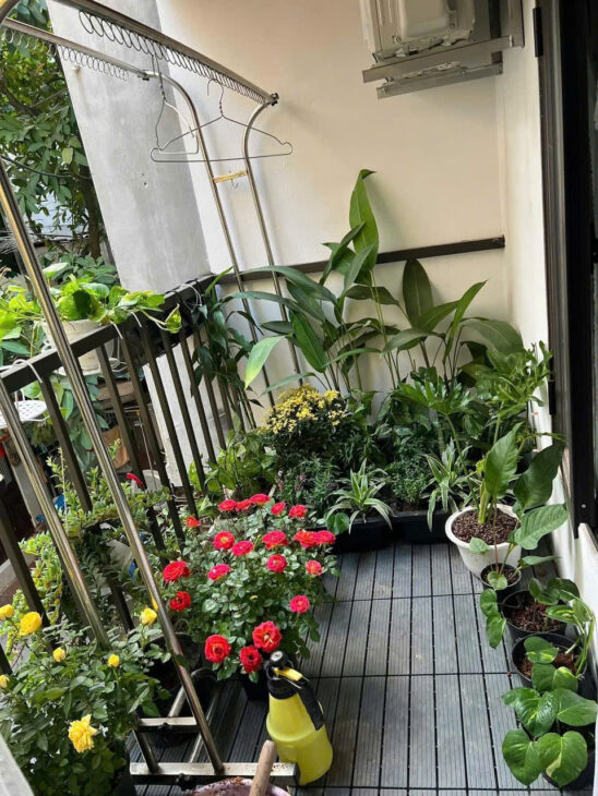 DUY NHẤT 1 CĂN LÊ LỢI QUANG TRUNG 35M NHÀ ĐẸP Ở NGAY BA BƯỚC RA PHỐ Giá: 5.9 tỷ LH 0975124520