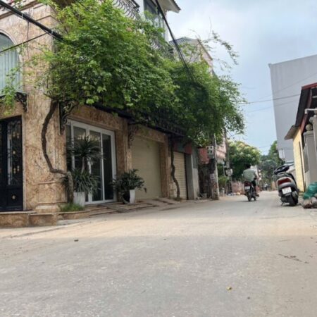 Nhà 5 tầng, ô tô tránh, view vĩnh viễn, gần BigC Long Biên