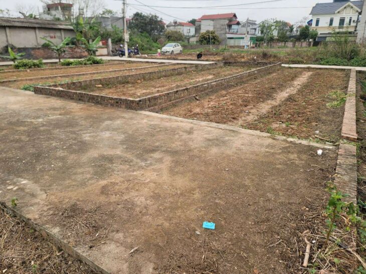 58M BÌA LÀNG VỊ TRÍ ĐẸP NHẤT TỔ 10 QUANG MINH,GIÁ F0 ĐẦU TƯ,IB CHÍNH CHỦ