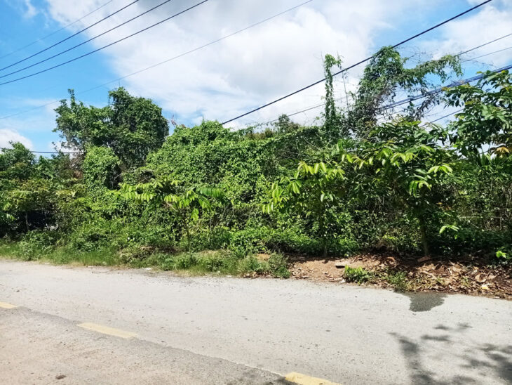 Bán đất đường Trung An – 4273m2 – 57×73 nở hậu 65m – 300m2 thổ cư – xã Trung An – Củ Chi