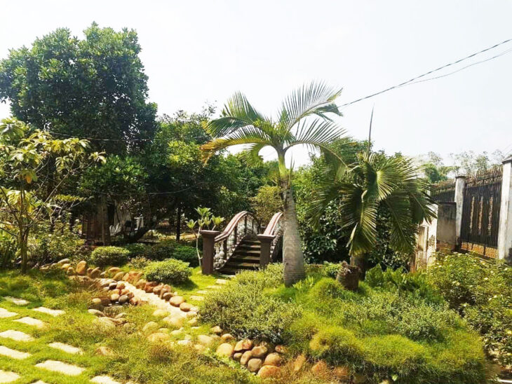 Nhà vườn 2 mặt tiền view sông 1/ Tỉnh Lộ 8 – 3382m2 – 55×58 – 250m2 – xã Bình Mỹ – Củ Chi