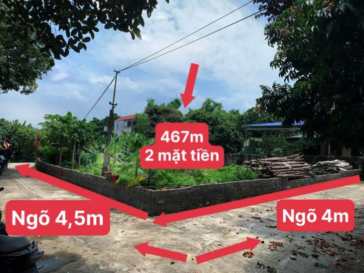 467m thủy xuân tiên chương mỹ
